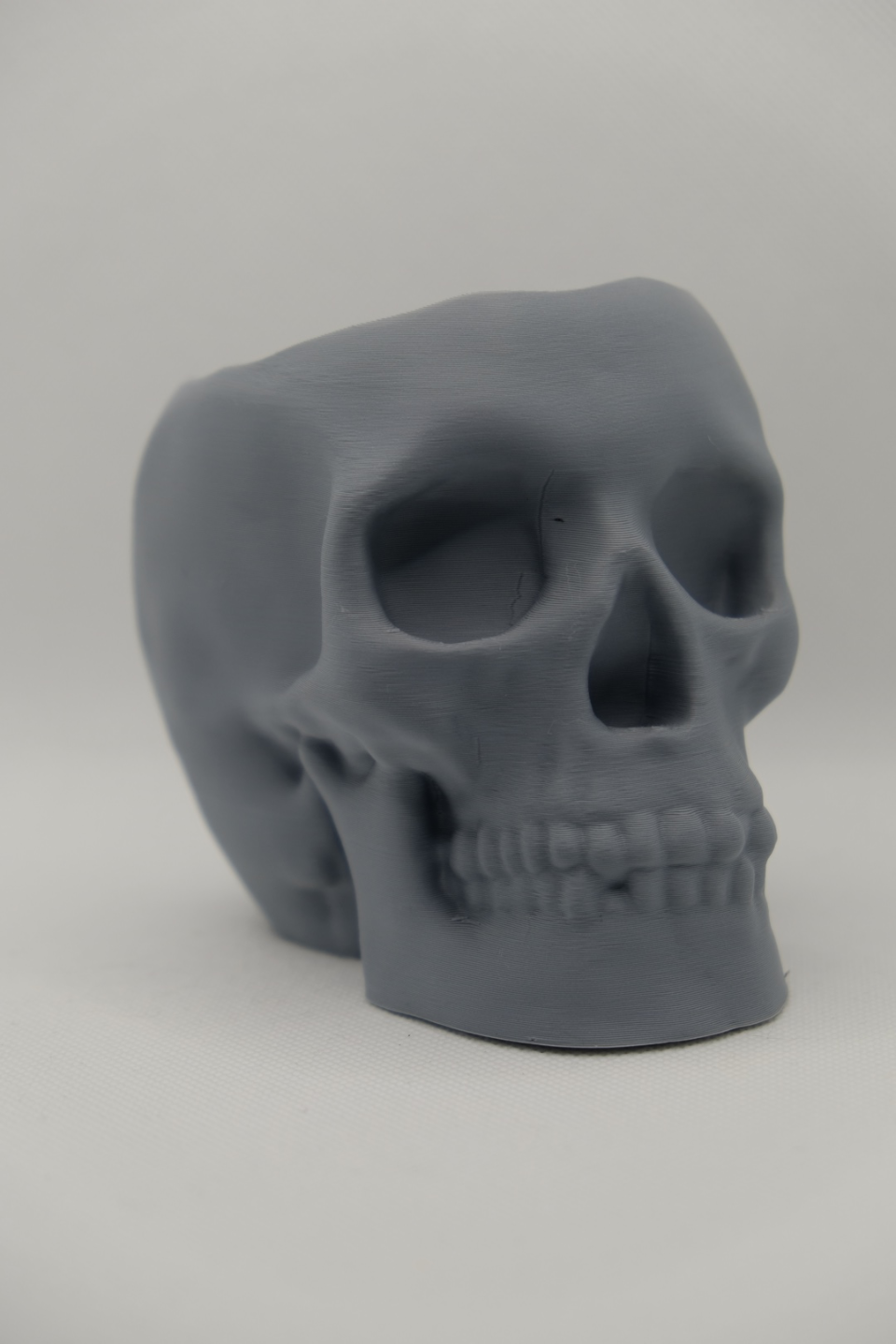 Halloween Skull Plant Pot