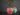 Houseplant Planter – Large size