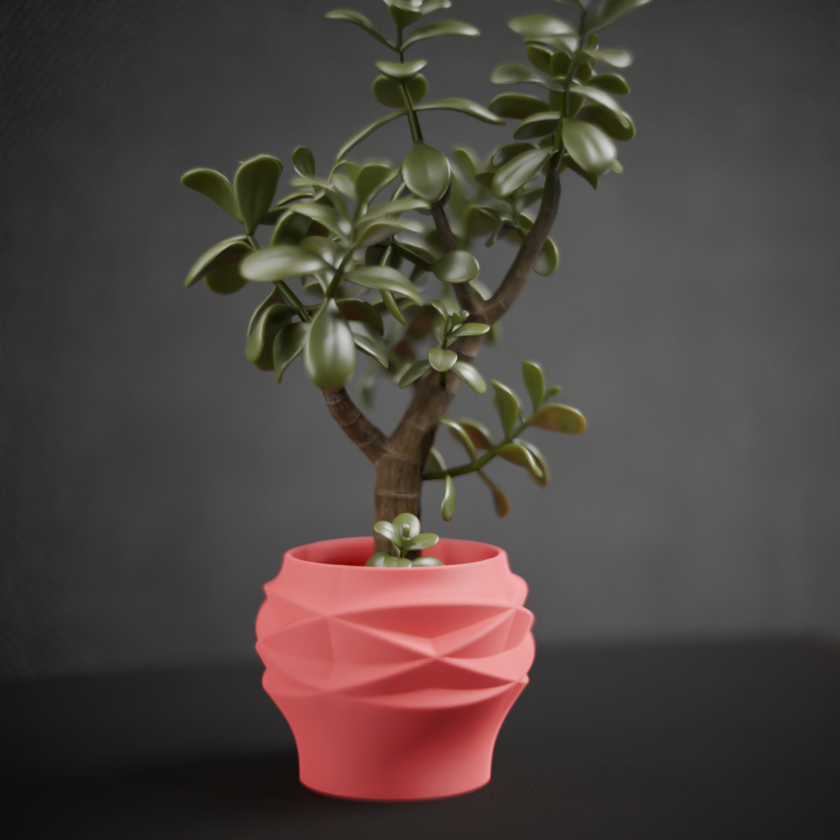 Houseplant Planter