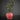 Houseplant Planter – Large size