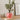 Houseplant Planter – Large size