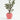 Houseplant Planter – Large size