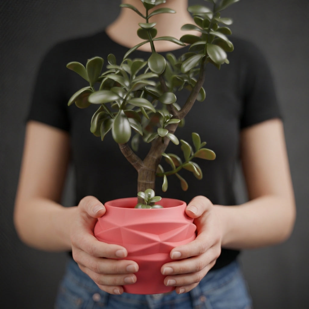 Houseplant Planter – Large size