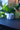 LED Candle Holder Aesthetic Tealight Stand