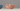 LED Tealight Lotus Flower LED Candle Holder