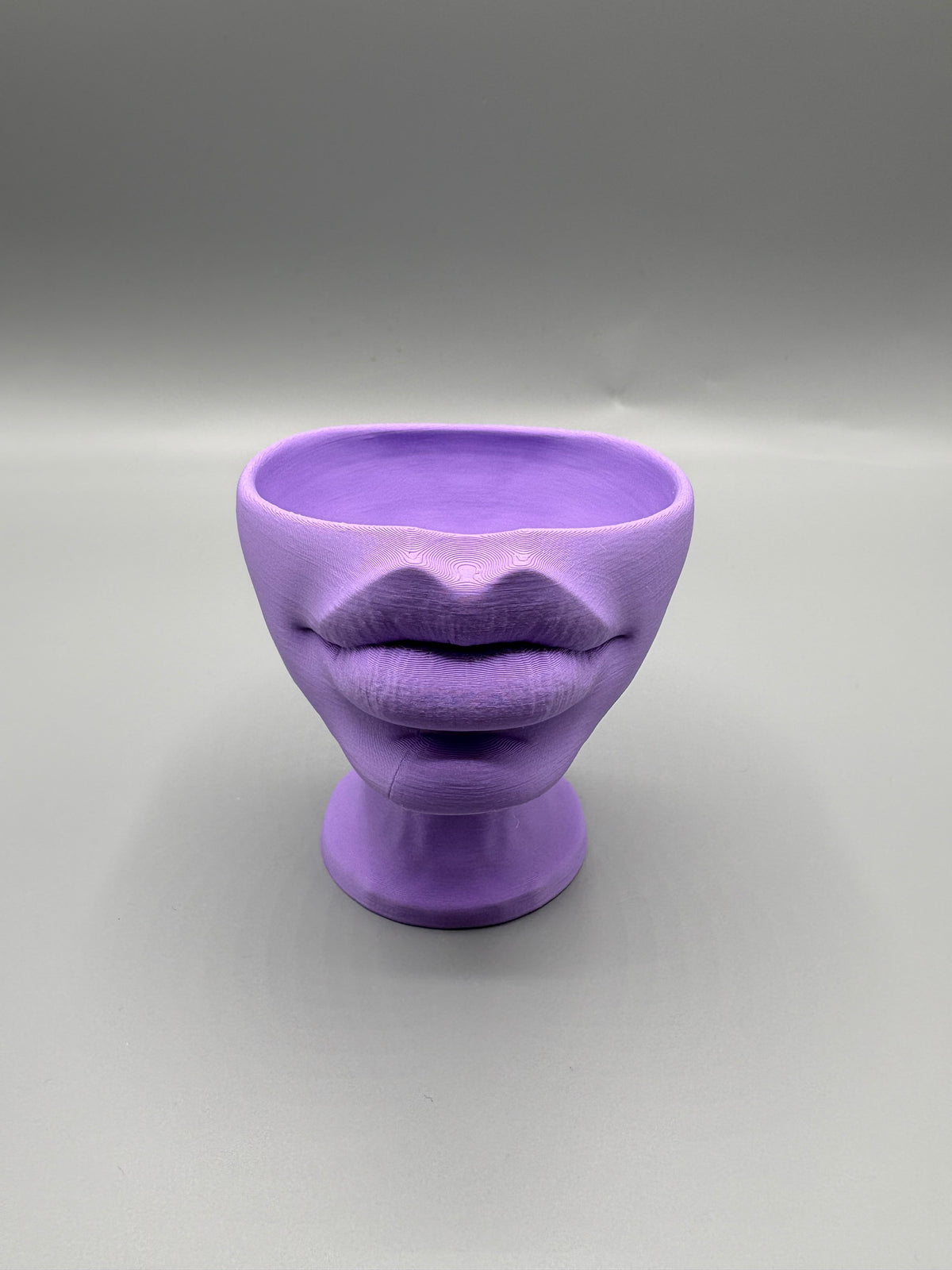 Lips Planter with Succulent – Sculptural Modern