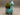 Llama Succulent Planter Pot