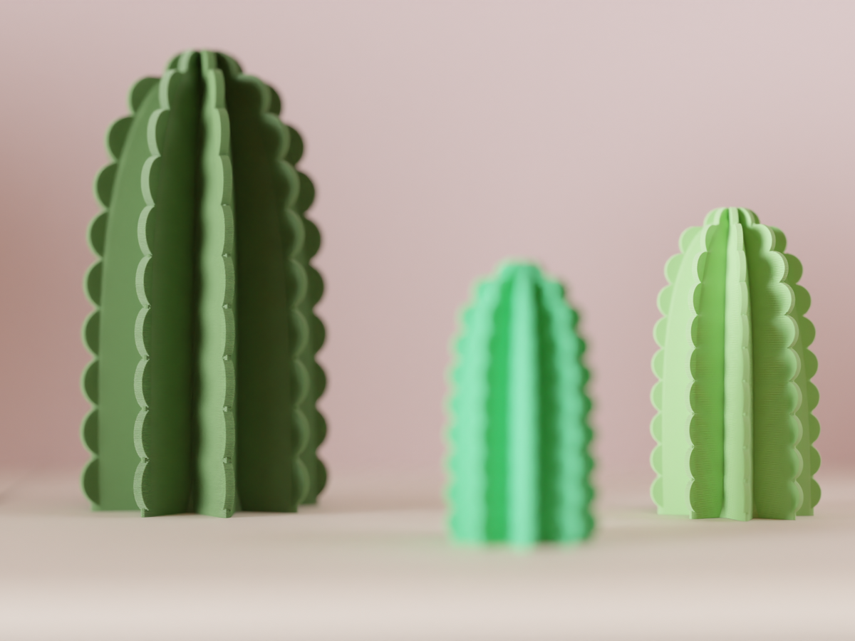 Minimalist Cactus Decoration – Small size