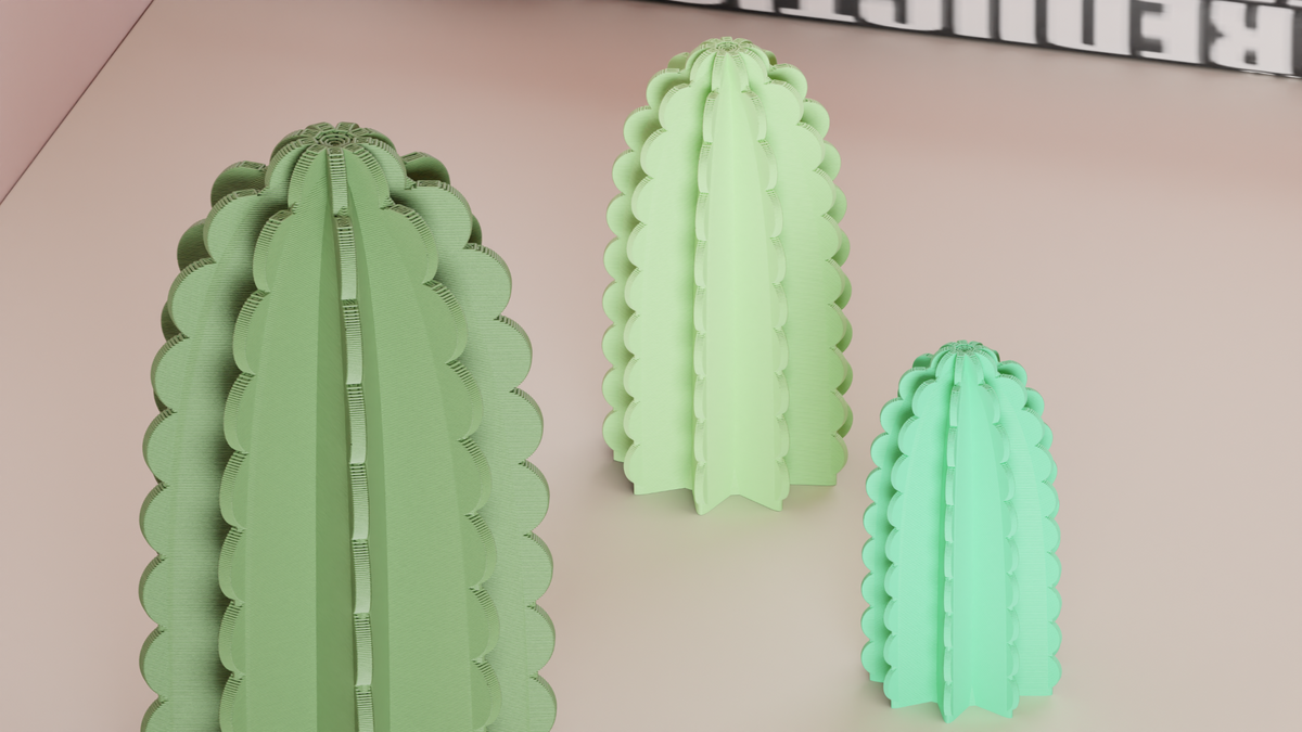 Minimalist Cactus Decoration