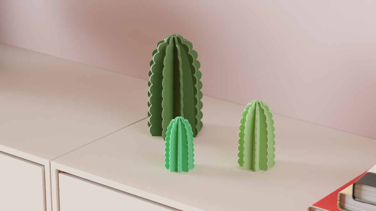 Minimalist Cactus Decoration