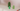 Minimalist Cactus Decoration – Standard size