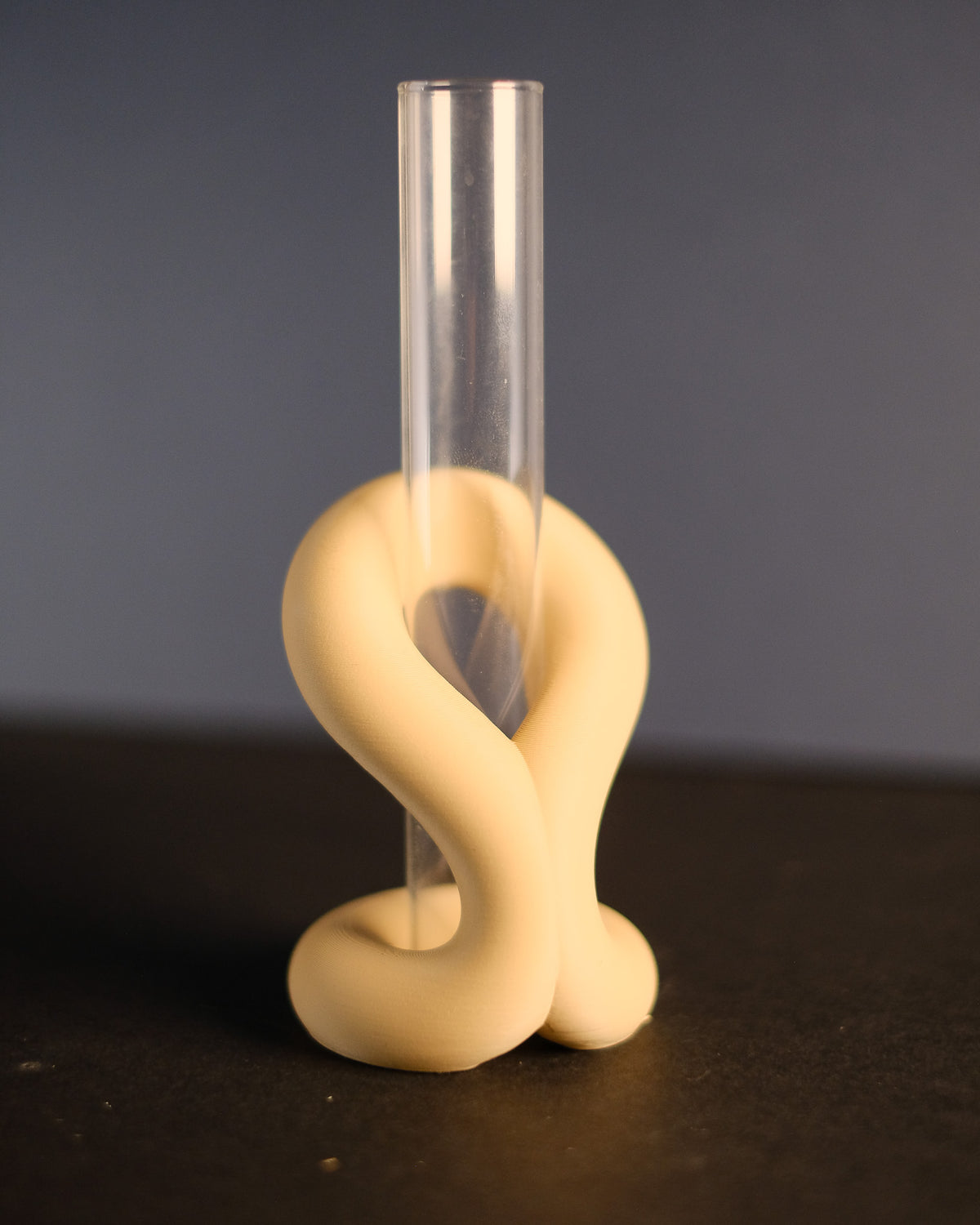 Minimalist Loop Propagation Vase Holder