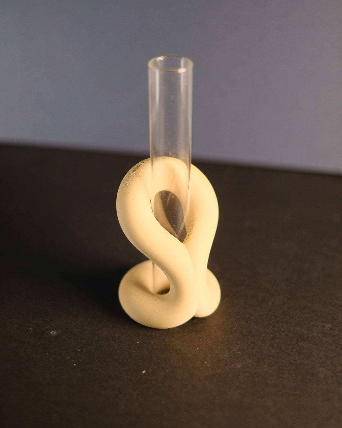 Minimalist Loop Propagation Vase Holder