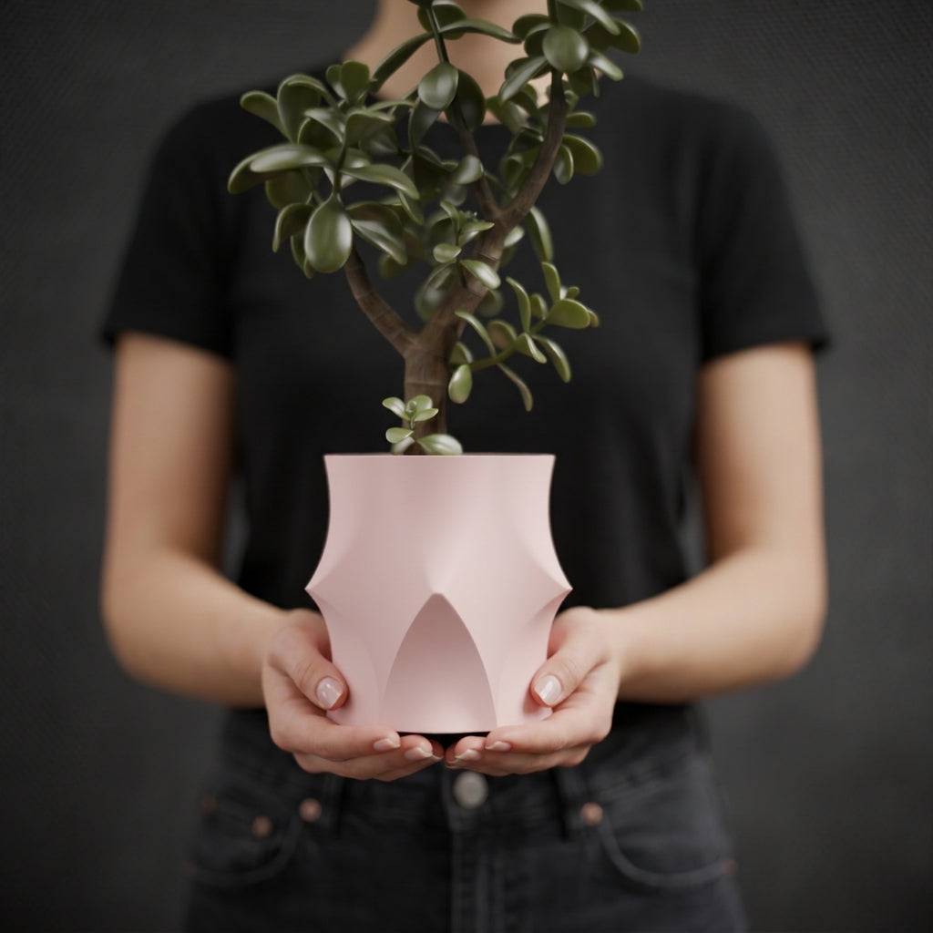 Modern Aesthetic Edged Planter