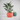 Modern Planter with Simple Elegant Pattern