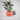 Modern Planter with Simple Elegant Pattern – Small size