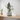 Modern Two Part Planter with Drip Tray