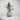 Modern Two Part Planter with Drip Tray