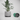 Modern Two Part Planter with Drip Tray