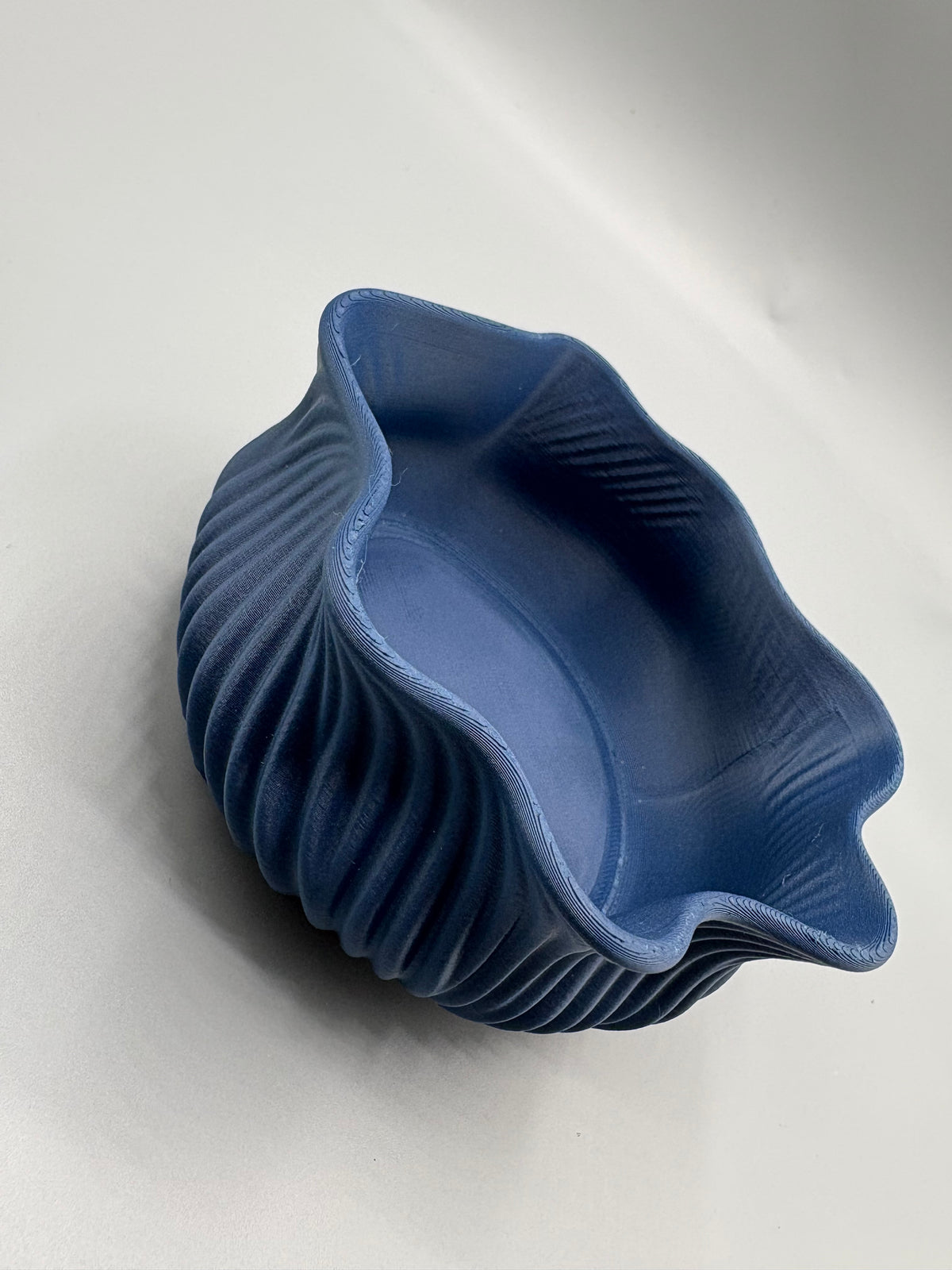 Modern Wavy Shell Bowl