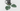 Monstera Leaf Coaster Drinks Coasters