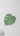 Monstera Leaf Wall Clock