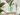 Organic Curves Planter