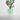Organic Curves Planter