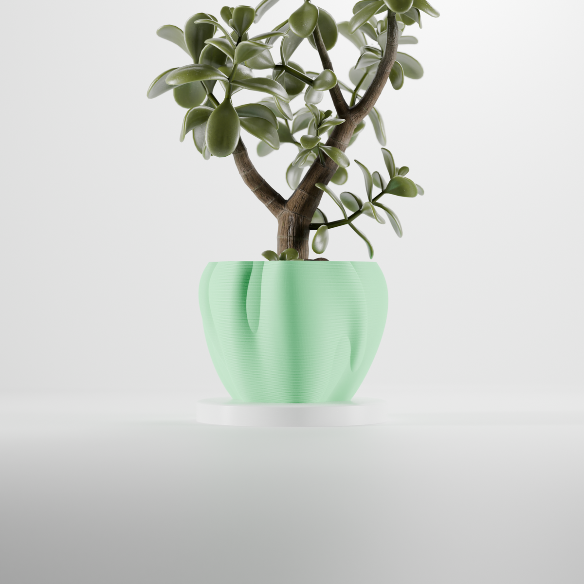 Organic Curves Planter