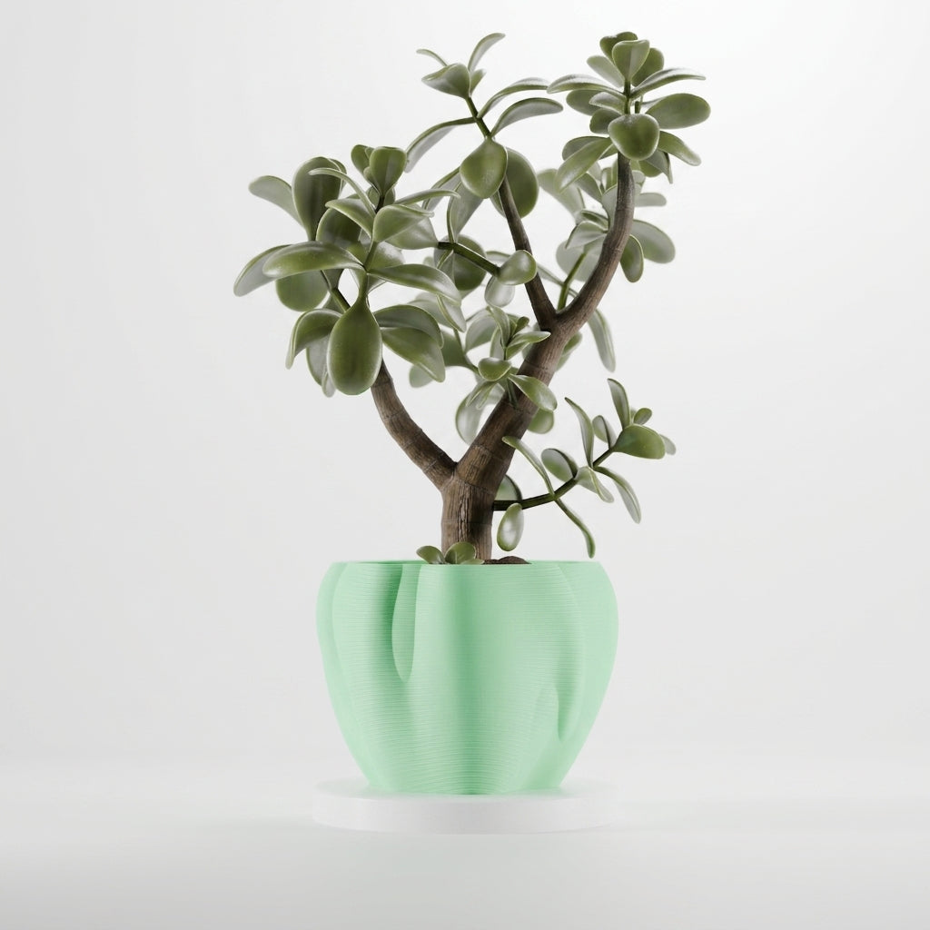 Organic Curves Planter