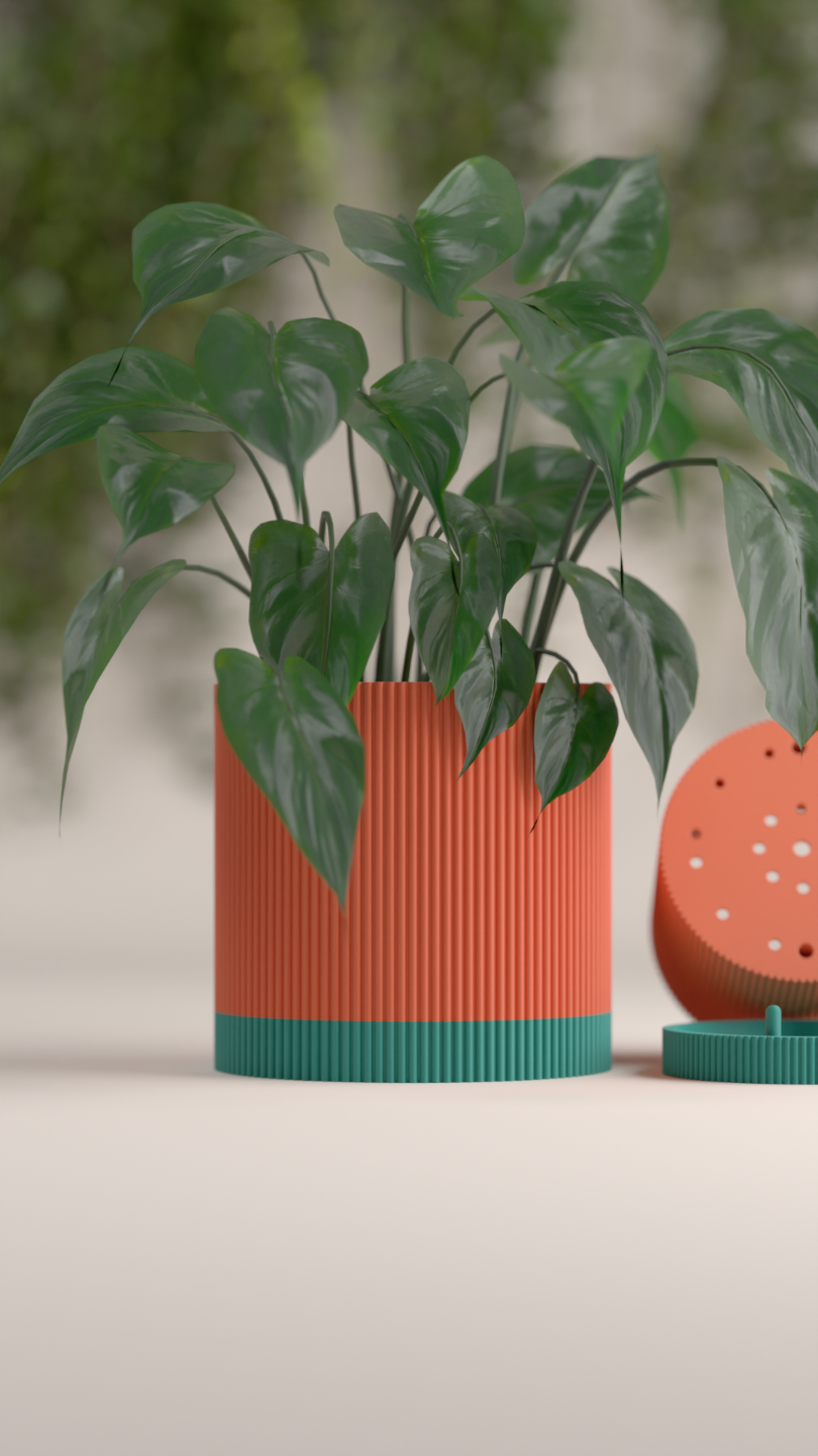 Plant Pot with Drip Tray Drainage