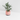 Planter with Drainage and Drip Tray
