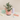 Planter with Drainage and Drip Tray