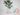Planter with Drip Tray – Large size