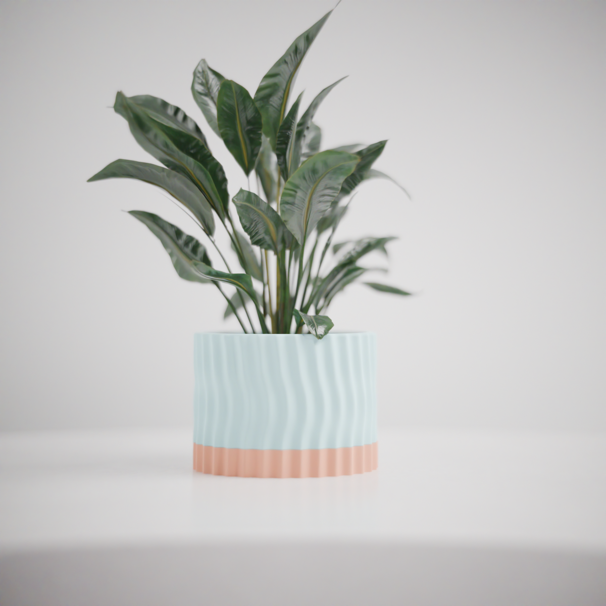 Planter with Drip Tray