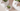 Polar Bear Plant Pot Cute Planter Minimal Animal – Large size