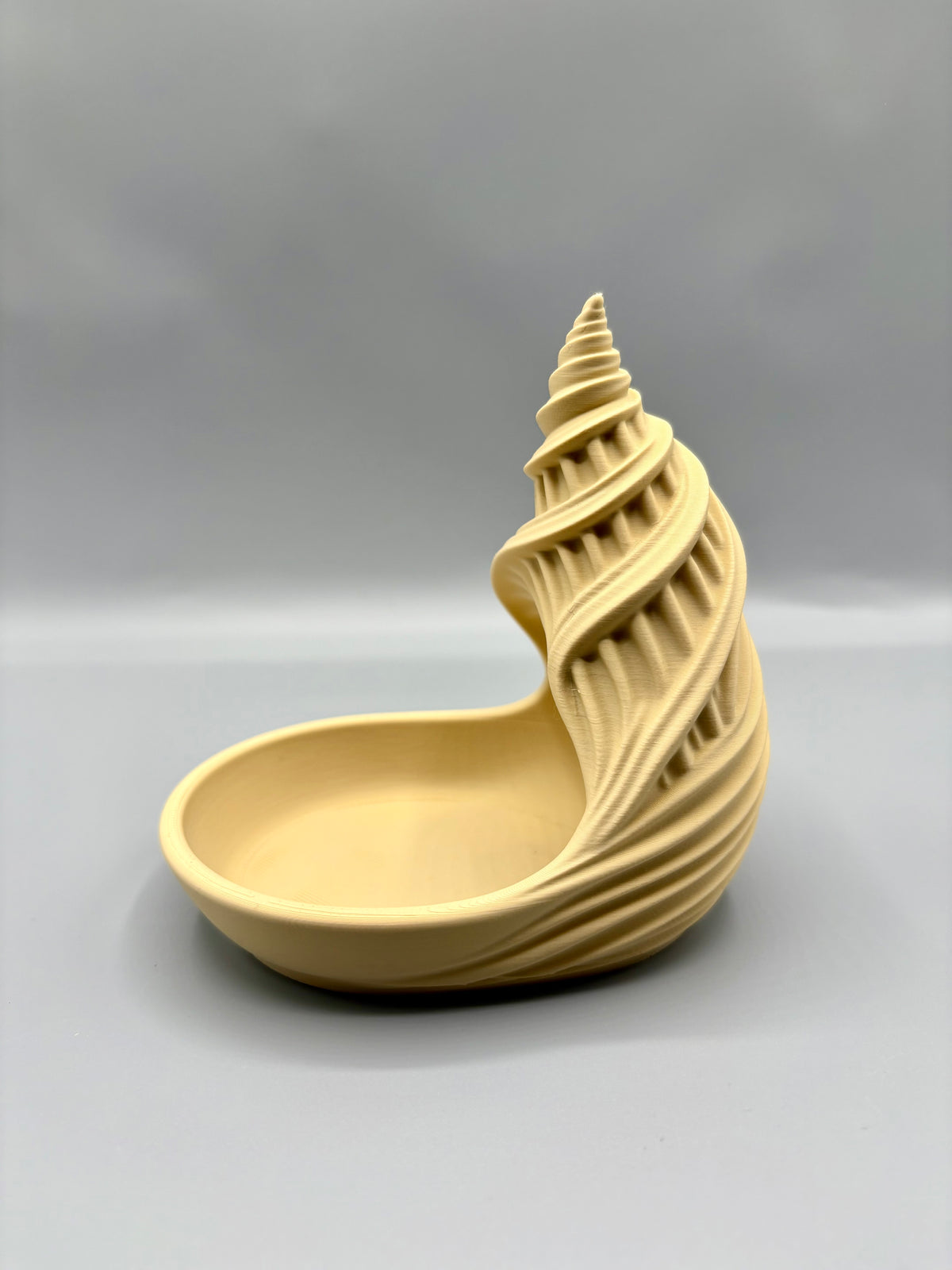 Seashell Spiral Catch-All Tray Entryway Organizer