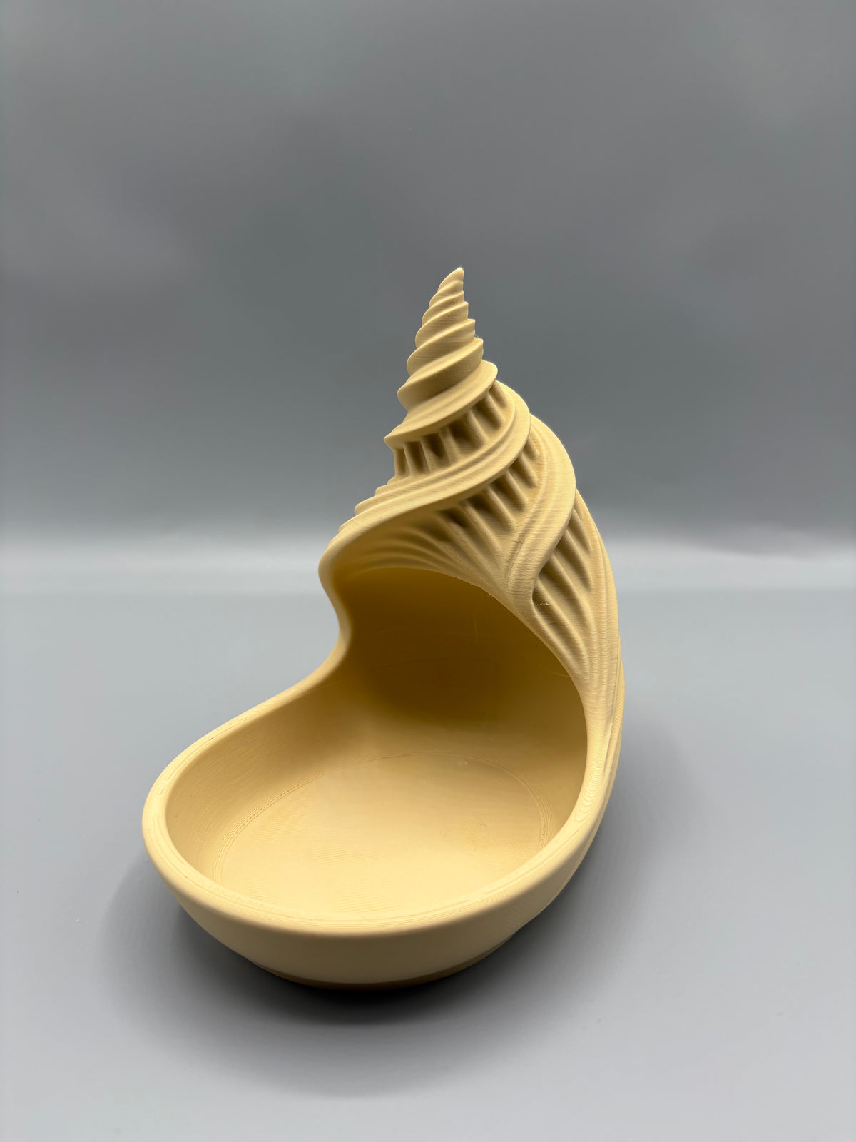Seashell Spiral Catch-All Tray Entryway Organizer