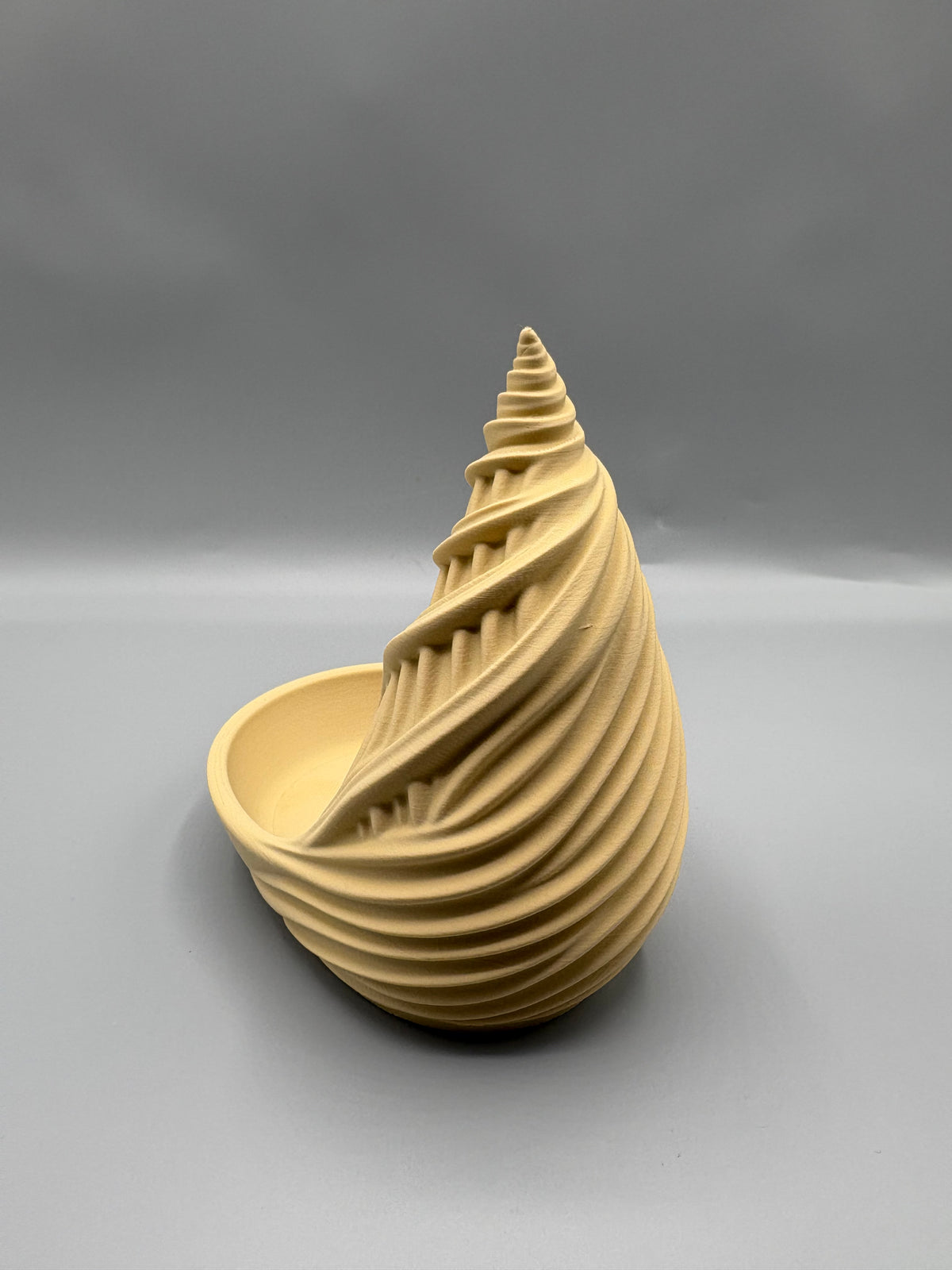 Seashell Spiral Catch-All Tray Entryway Organizer