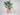 Simple Planter with Drip Tray – Standard size