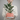 Simple Planter with Drip Tray – Large size