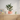Simple Planter with Drip Tray – Large size