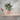 Simple Planter with Drip Tray – Standard size