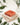Single line coral-pattern catch-all tray bowl