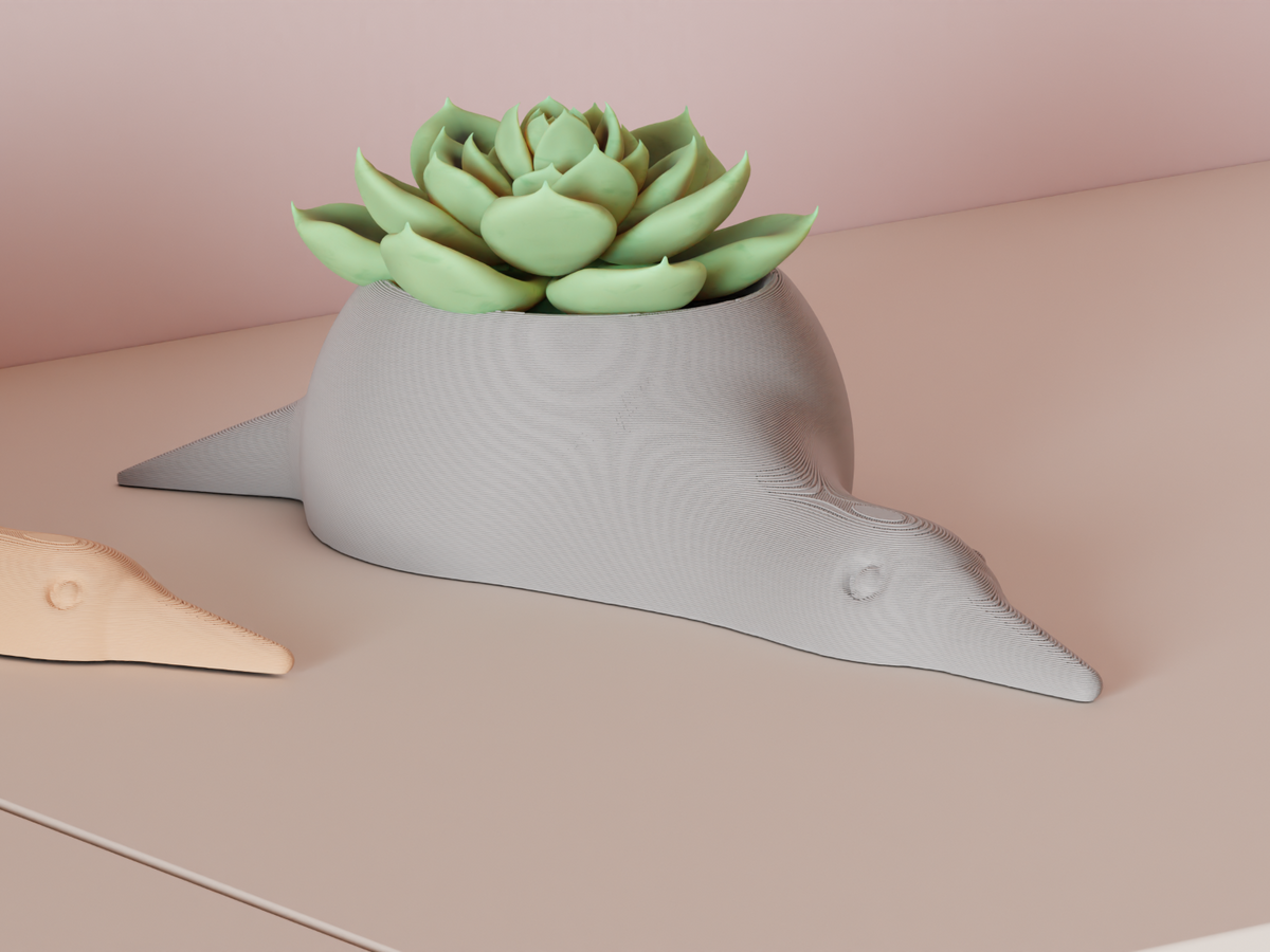 Succulent Plant Pot