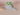 Succulent Plant Pot