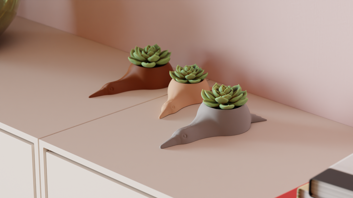 Succulent Plant Pot