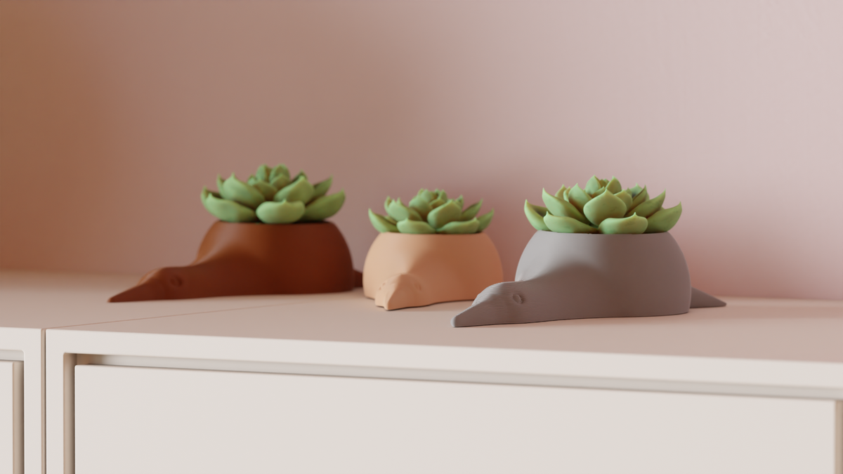 Succulent Plant Pot