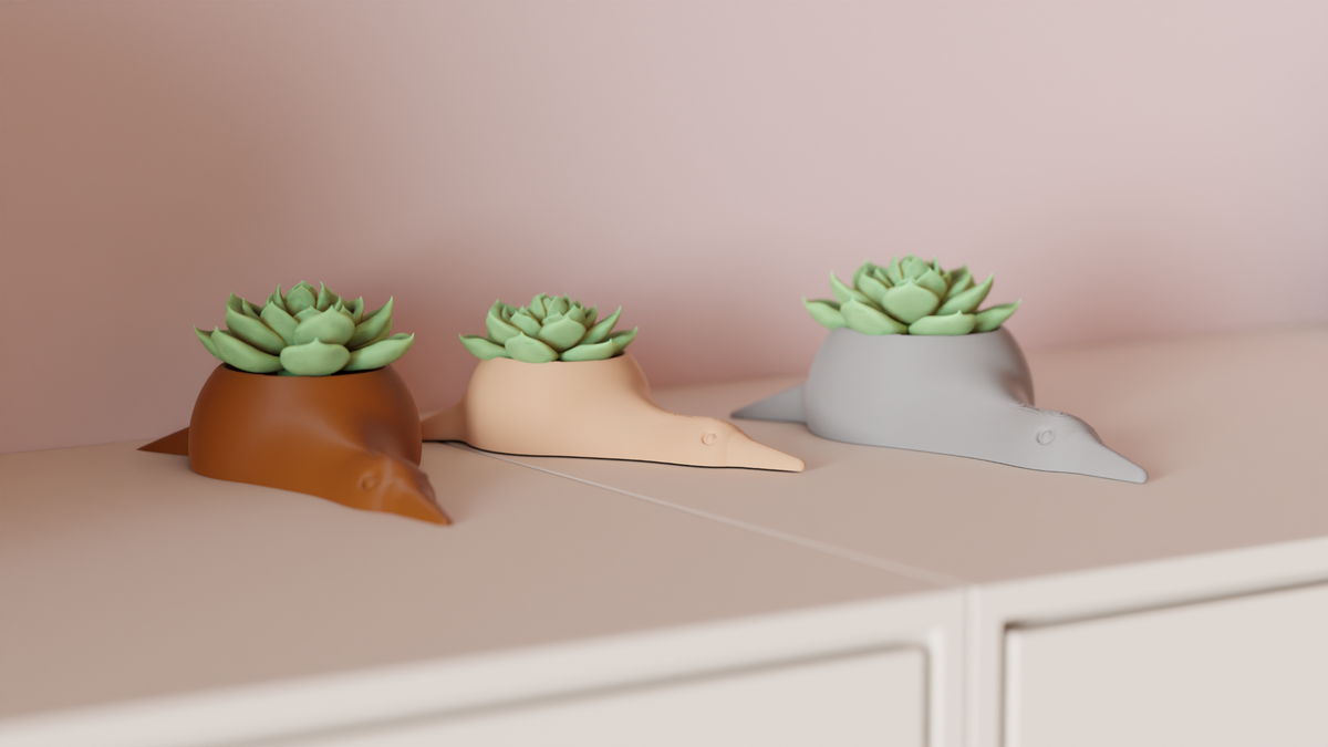 Succulent Plant Pot