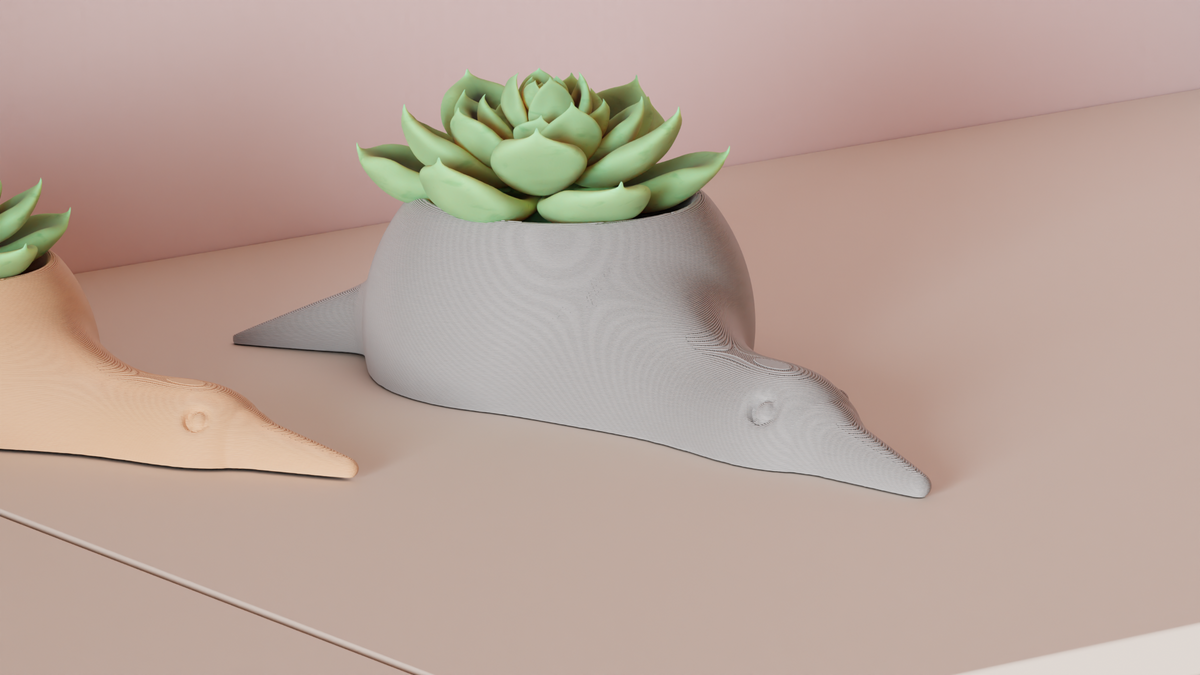 Succulent Plant Pot